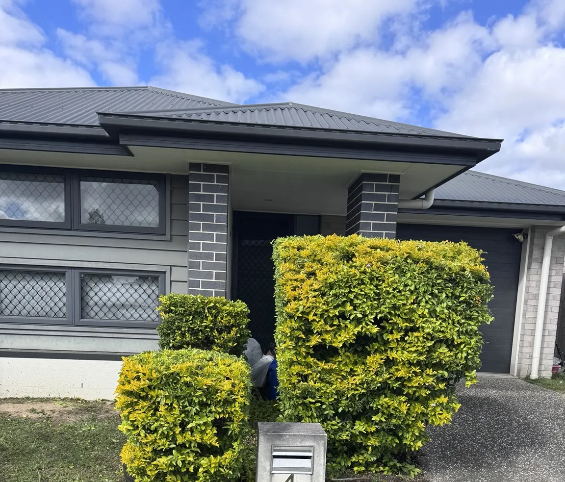 After — hedge shaping by Greenstone Outdoor Solutions